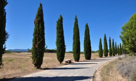 Presentazione del libro Agrometeorologia (Edagricole)